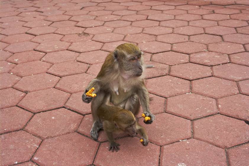 Достопримечательности Куала Лумпура